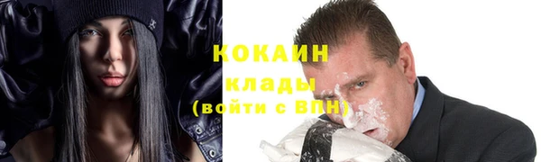 твердый Инсар