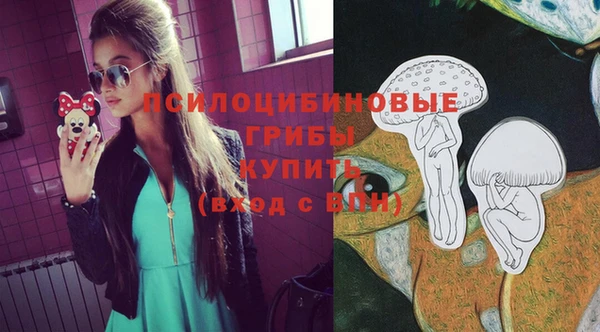 ECSTASY Аркадак