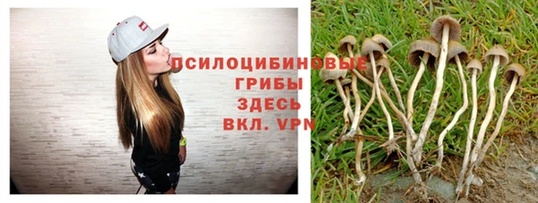 меф Армянск